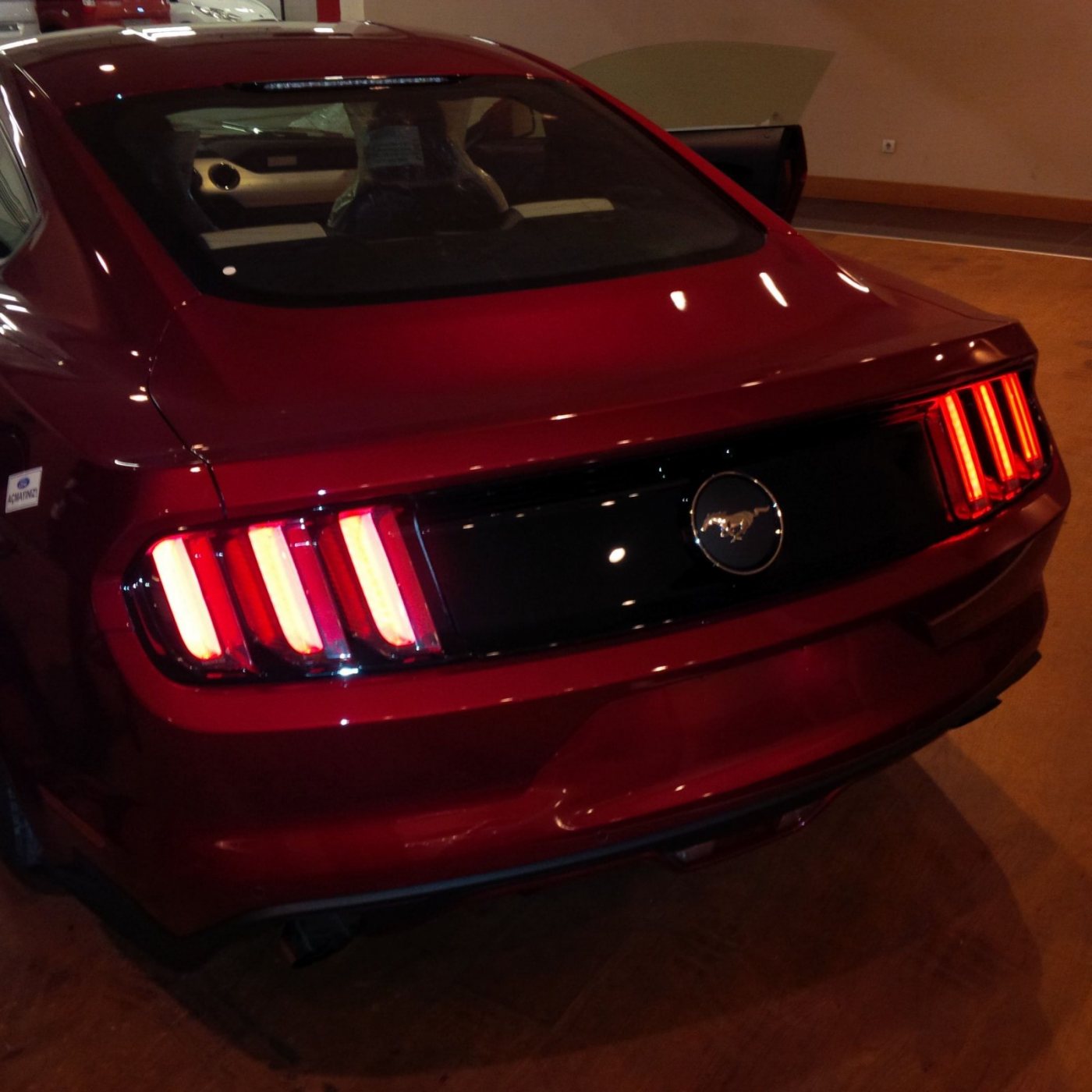 Stang-5.thumb.JPG.bd6711fe2b5b4fe327f9da