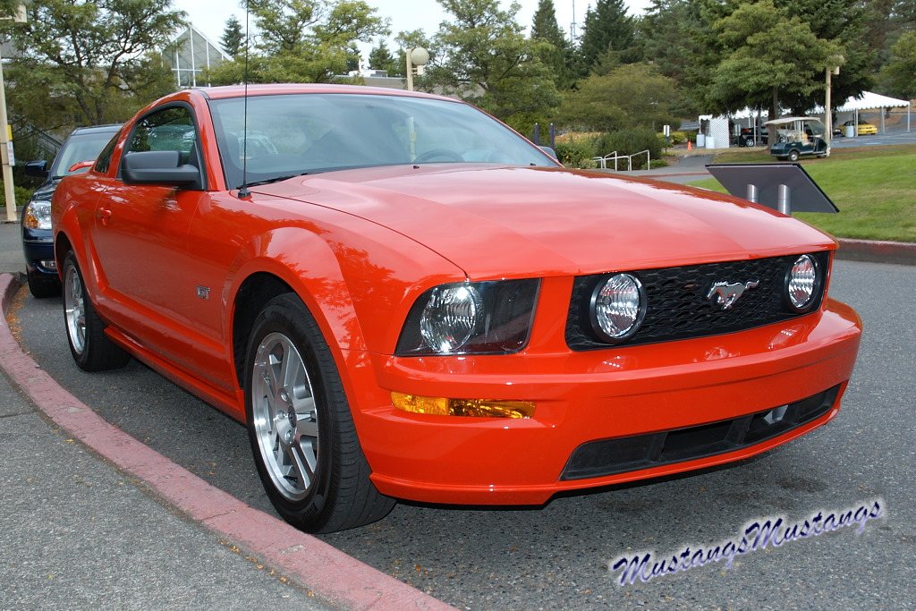 Fwp05stang.jpg.8dc2ee0f8d3794ffd67f36c65