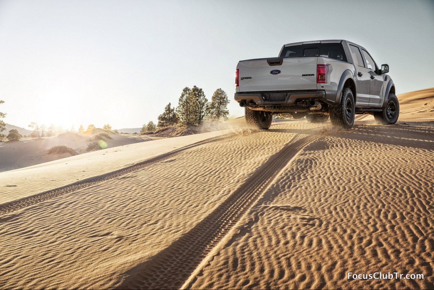 Gray_Raptor_Dunes_Handheld_0070.thumb.jp