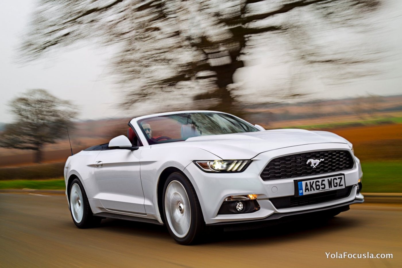 Fiest 1000 Ford Mustangs Delivered to UK Customers.jpg