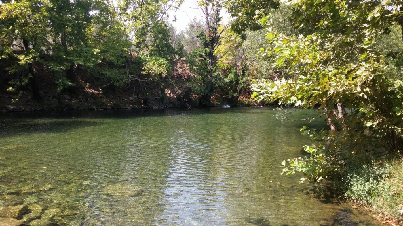20170830_141702.jpg