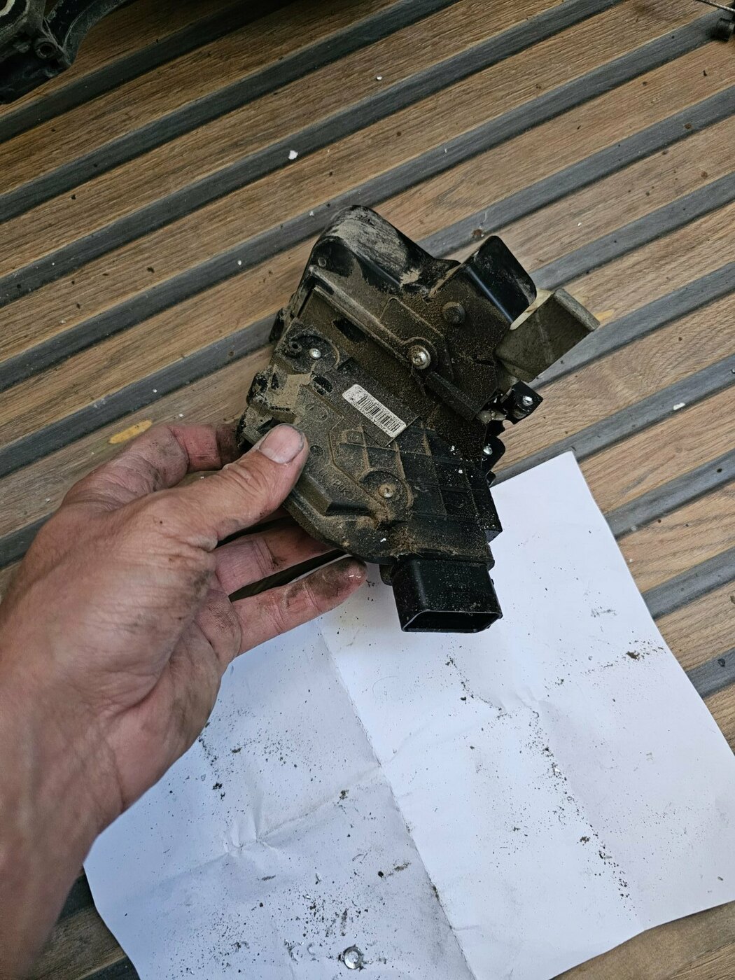 20241002_104624.jpg